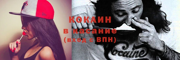 молекула духа Бронницы