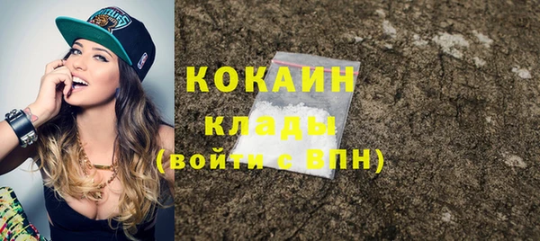 дмт Бородино