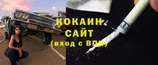 дмт Бородино