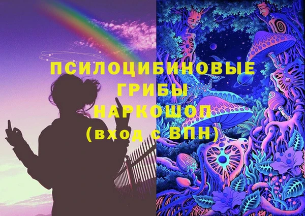 дмт Бородино