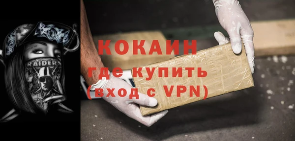 дмт Бородино