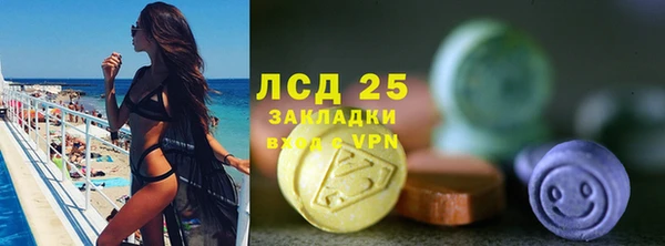 дмт Бородино