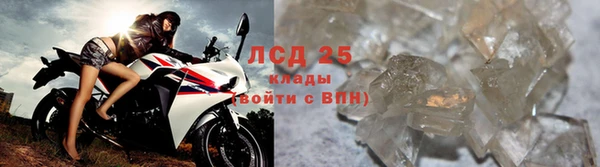 дмт Бородино