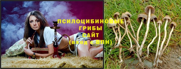 дмт Бородино