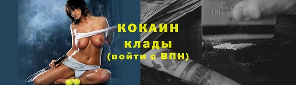 дмт Бородино