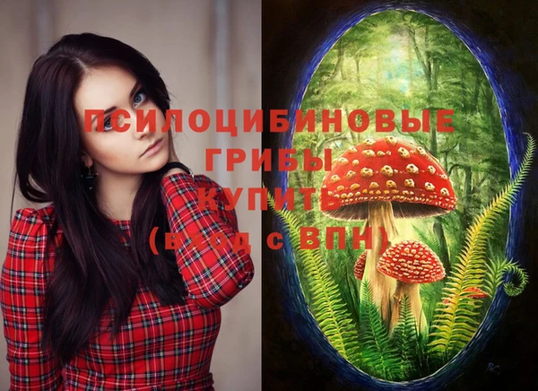 молекула духа Бронницы