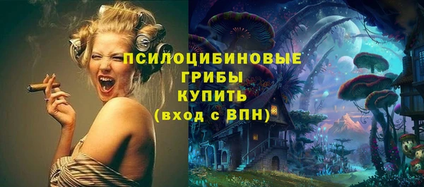 дмт Бородино
