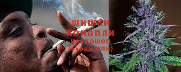 молекула духа Бронницы