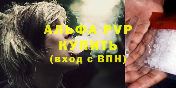 дмт Бородино