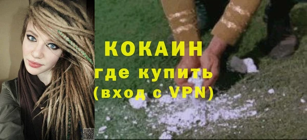 дмт Бородино