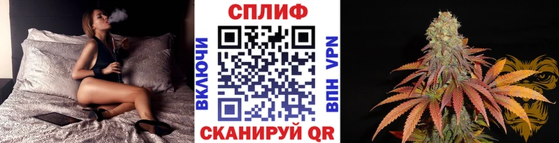 Каннабис конопля  блэк спрут как зайти  Магнитогорск 